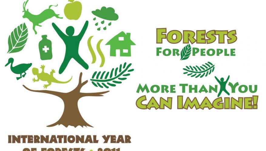 The International Year of Forests, 2011